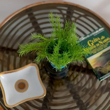 La Dimora Dei Nipoti Apartament